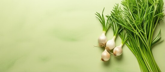 Poster - Chopped herb isolated isolated pastel background Copy space