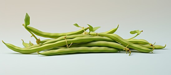 Aufkleber - Bean Alone on isolated pastel background Copy space