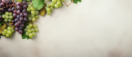 Healthy food made from bunches of algae resembling grapes isolated pastel background Copy space