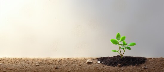 Poster - Concept of eco friendly agriculture shown with an enlarged image of a small green oregano sprout emerging from the ground in a smart farm isolated pastel background Copy space