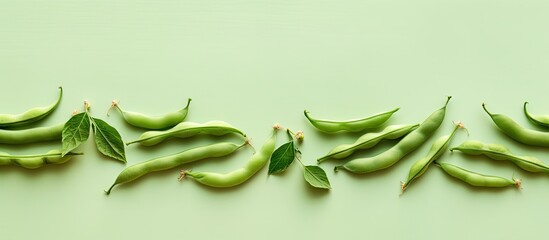 Wall Mural - Green beans on a isolated pastel background Copy space