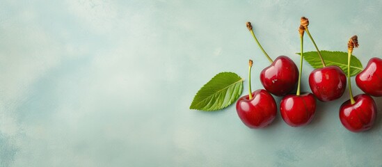 Poster - Fresh cherries on a isolated pastel background Copy space