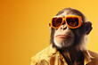 © SHOTPRIME STUDIO - Animal portrait monkey ape primate