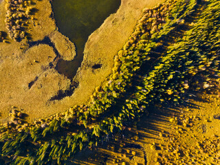 Wall Mural - fall landscape. a drone view of the river in the woods. an aerial view of an autumn forest. winding 