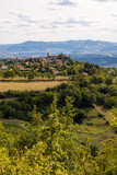 Fototapeta Natura - Village médiéval d’Oingt construit en pierres dorées typique de cette région du Beaujolais depuis les vignobles aux alentours