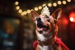 Medium shot portrait photography of a funny basenji dog pointing wearing a lion mane against a lively nightclub background. With generative AI technology