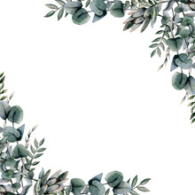 Eucalyptus Square Corner Frame With Silver Dollar Branches On White Background. Elegant Botanical Floral Green Watercolor Illustration Template