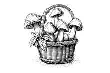 Basket Full Of Mushrooms Hand Drawn Ink Sketch. Engraving Vintage Style Vector Illustration.