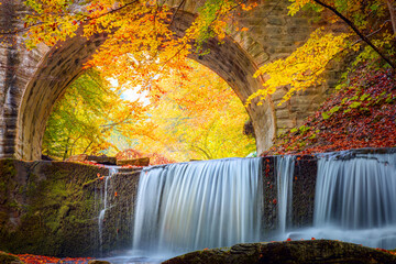 Wall Mural - golden fall autumn landscape - river waterfall in colorful autumn forest park with yellow red leaves