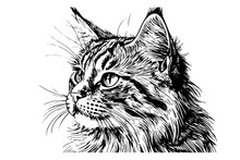 Cute Cat Portrait Hand Drawn Ink Sketch Engraving Vintage Style.Vector Illustration.