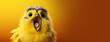 © Alexandra - surprised baby chicken over yellow background, panoramic layout. Generative Ai