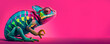 canvas print picture - Chameleon on pink background