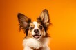 Close-up portrait photography of a smiling papillon dog wearing a shark fin against a bright orange background. With generative AI technology
