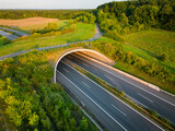 Fototapeta Miasta - Green ecoduct over an empty highway during sunset.