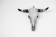 © Naya Na - Cow skull hanging on the wall for home decor