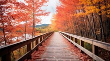 Beautiful Fall Colors Along A Boardwalk Trail In The Countryside Of Vermont, USA,generative AI