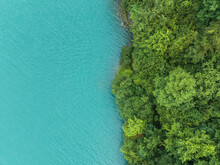 Aerial View Of Green Trees Along The Brienzersee Lake Coastline, Bern, Switzerland.