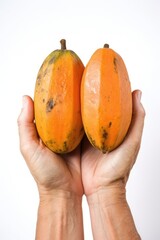 Sticker - large hands holding a ripe papaya fruit against a white background in studio