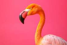 Yellow Flamingo On Pink Background, Side View