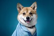 Photography in the style of pensive portraiture of a smiling norwegian lundehund wearing a doctor costume against a sapphire blue background. With generative AI technology