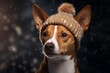 Medium shot portrait photography of a happy basenji dog wearing a winter hat against a gold background. With generative AI technology
