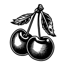 Pair Of Cherries With Leaves Illustration