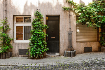 Wall Mural - View of beautiful house with door and ivy