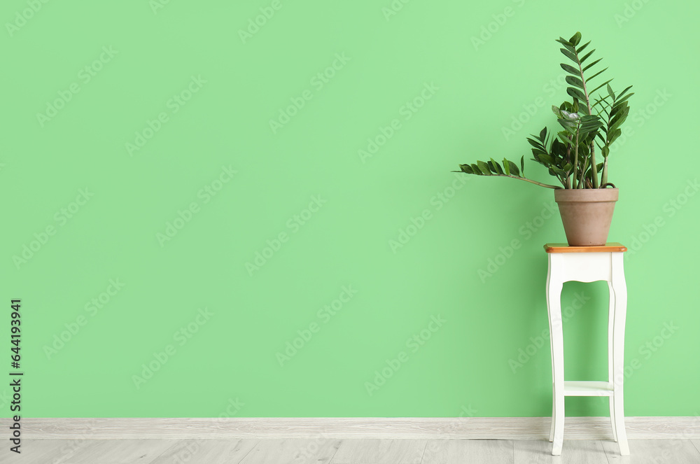 Houseplant on table near green wall in room