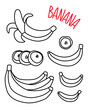 Banana set hand painted with whin line. Png clipart isolated on transparent background