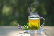 Steaming herbal tea made from fresh peppermint leaves in a glass cup, flowering twigs lying next to it on a wooden table in the garden, dark green background, copy space
