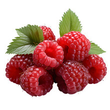 Fresh Red Raspberry Fruit Cut Out Isolated On Transparent Background Png ,generative Ai