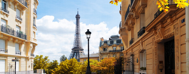 Wall Mural - eiffel tour and paris street