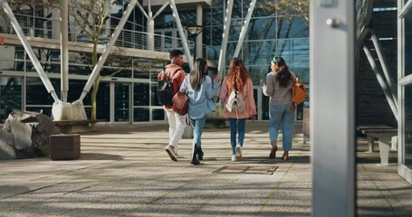 Poster - University, back view and students walking on campus for education together for lunch break as friends with scholarship. Learning, diversity and people in conversation happy in college or school