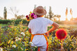 Back view of gardener holding bouquet of dahlias with pruner picking blooms on rural flower farm at sunset enjoying view