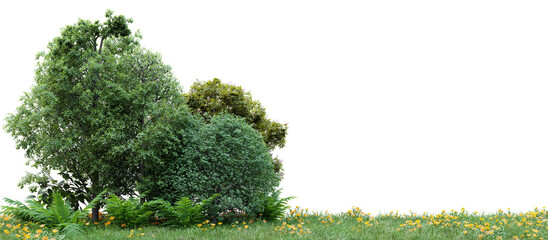 Poster - group of tree isolated on transparent background 3d rendering png