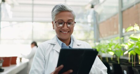 Wall Mural - scientist, tablet and woman in research for botany, plant and happy in greenhouse. science tech, lea