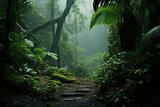 Fototapeta Las - Damp tropical forest floor covered in mist, ideal for nature wallpapers. Generative AI