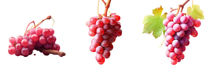 Poster - Ripe red grape on branch transparent background