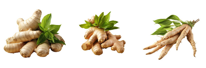 Ginger root isolated on a transparent background used for cooking