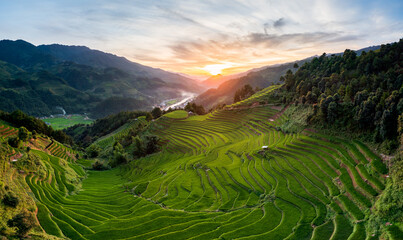 Wall Mural - Mu Cang Chai rice terrace in beautiful sun light. Asia nature agriculture background. Vietnam landscape