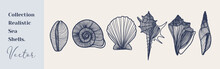 Set Of Seashells Shells Silhouettes Vector Illustration