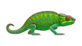 Fototapeta Zwierzęta - chameleon isolated on transparent background cutout
