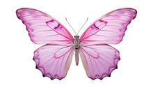 Pink Butterfly Isolated On Transparent Background Cutout