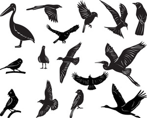 Wall Mural - set of birds silhouette on white background vector