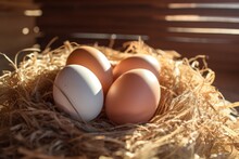 Fresh Chicken Eggs In Straw Nest On The Farm