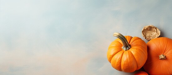 Poster - Pumpkin in Laos isolated pastel background Copy space