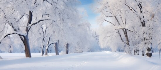 Fototapete - Winter in the countryside with snowy trees isolated pastel background Copy space