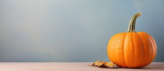 Poster - Pumpkin in Laos isolated pastel background Copy space