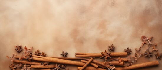 Poster - Winter ready organic dry cinnamon photo isolated pastel background Copy space