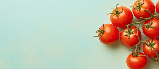 Poster - Tomatoes on isolated pastel background Copy space